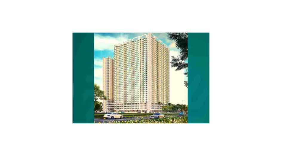 _ Elevation Image